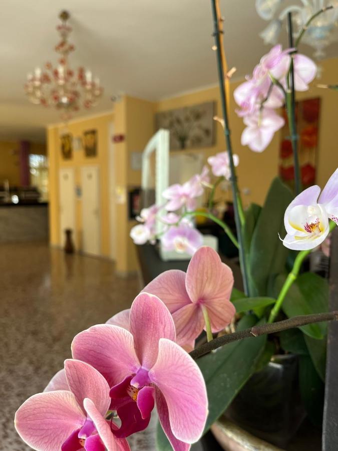 Hotel Astor Modena Exterior photo